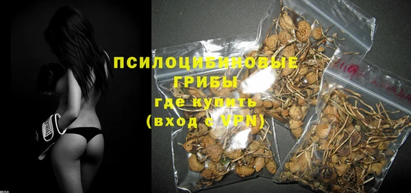 PSILOCYBIN Володарск